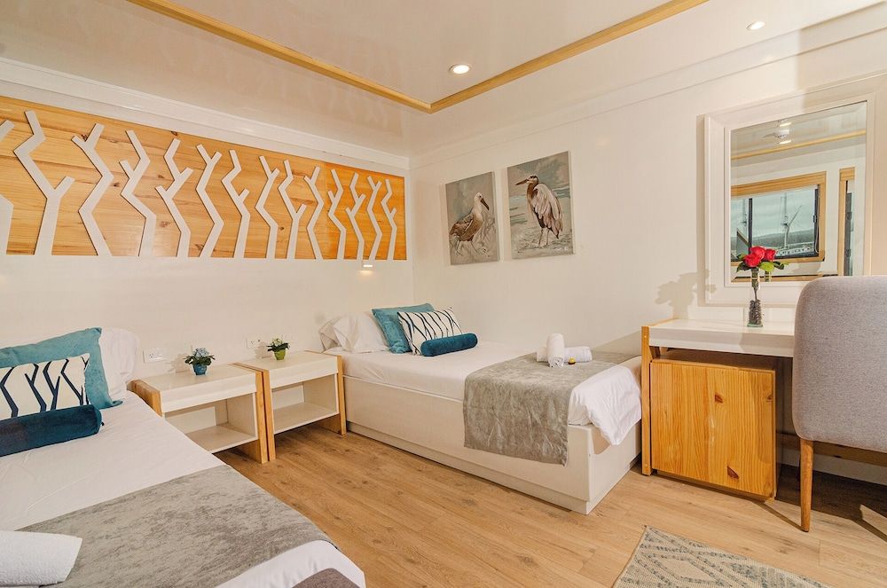 Galapagos Sea Star Junior Cabin, Ocean View 5