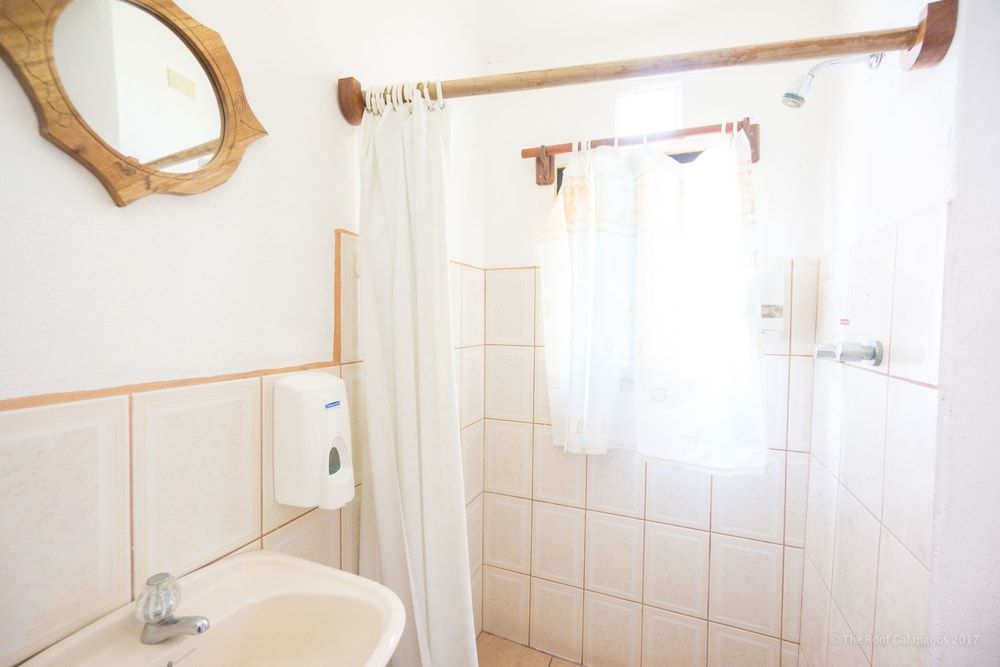 Galapagos Verde Azul Comfort Room 4