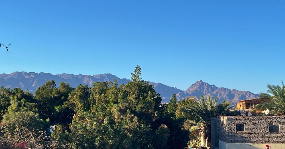 Manzzel Dahab Hostel Comfort Apartment, 1 Bedroom, Mountain View 3