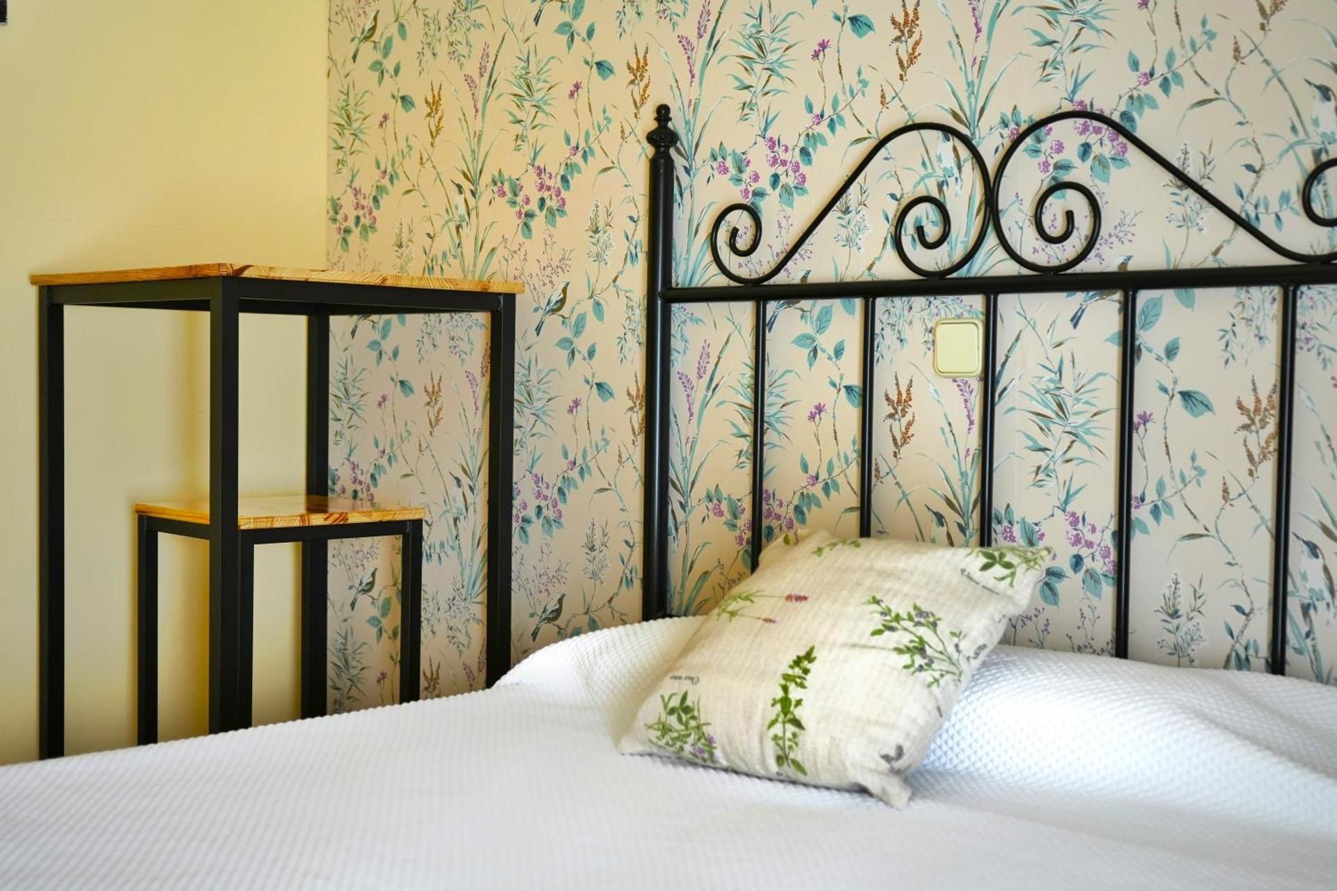 Hostal Mainz Single Room 2