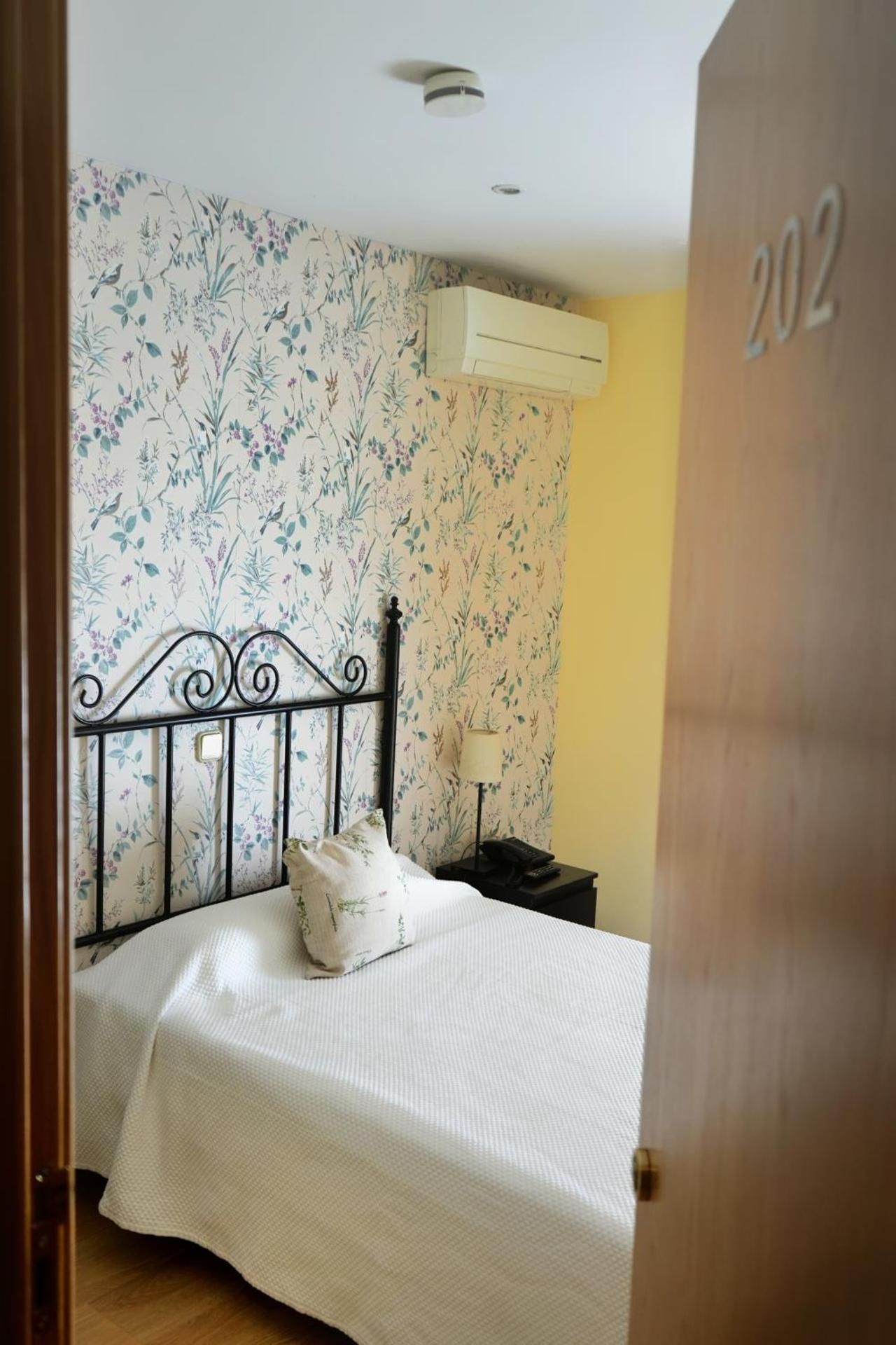 Hostal Mainz Single Room 3