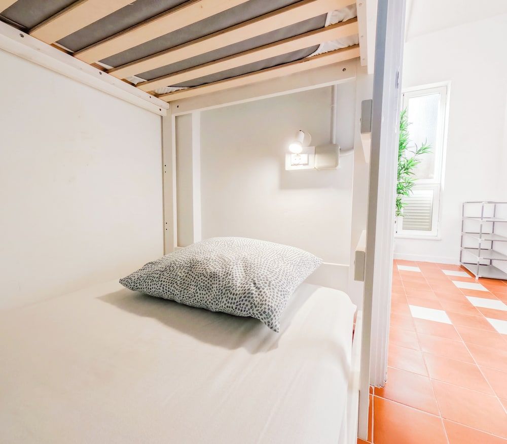 Standard Shared Dormitory, Mixed Dorm, Shared Bathroom (XXVIII)