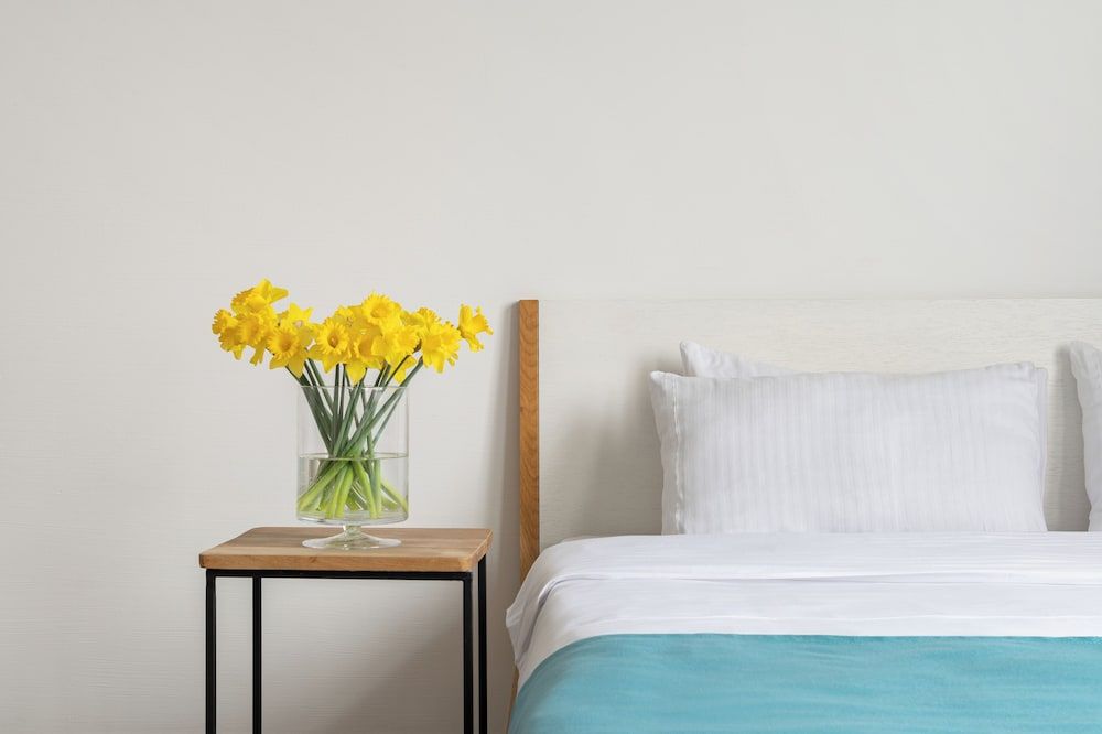 Mariinsky Boutique Hotel Economy Room 6