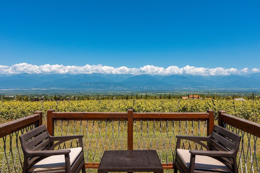 Hotel Qvevrebi Qvevri 7