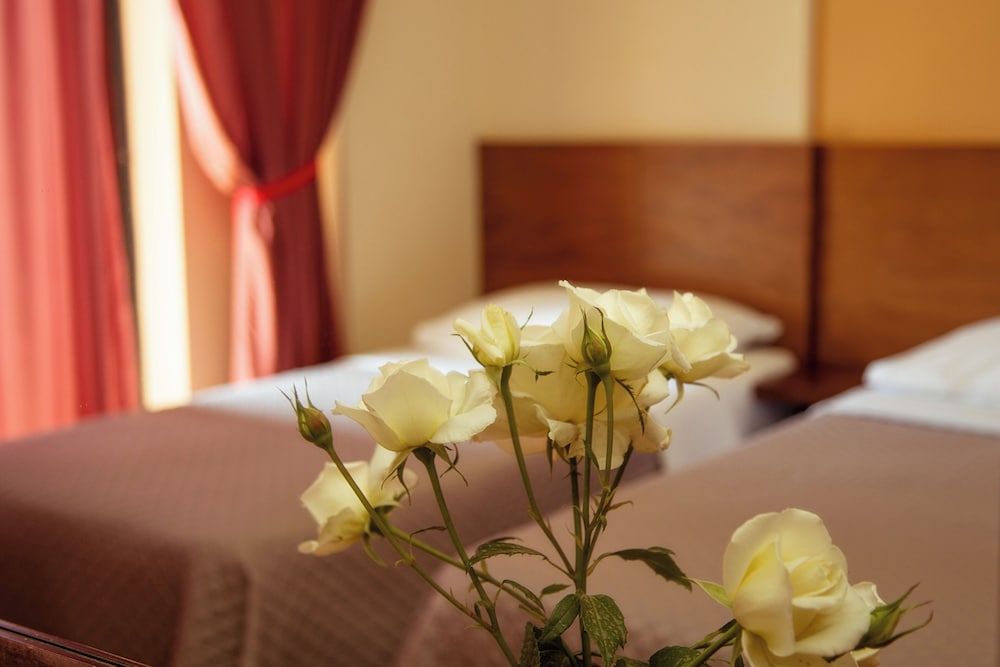 Hotel Giorgio Double or Twin Room 2