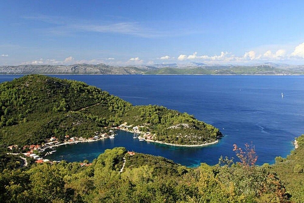 Apartments Vera Apartment (Comfort One-Bedroom Apartment with Te) 5