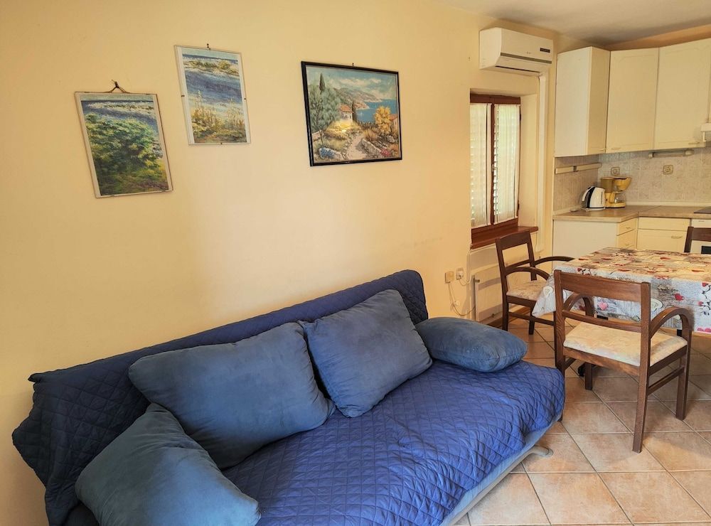 Apartment (One Bedroom Apartment)