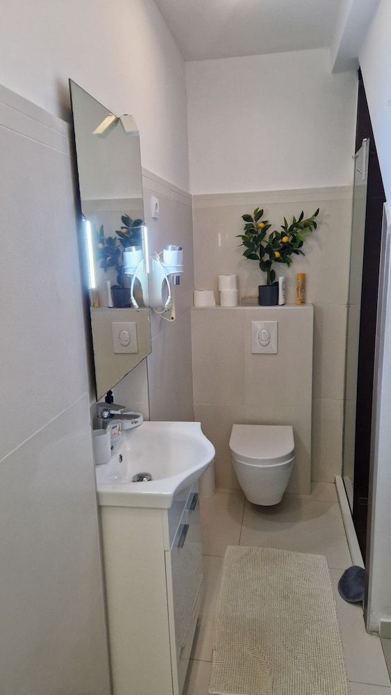 Basic Mansion One-Bedroom Apartment with Pool View 6