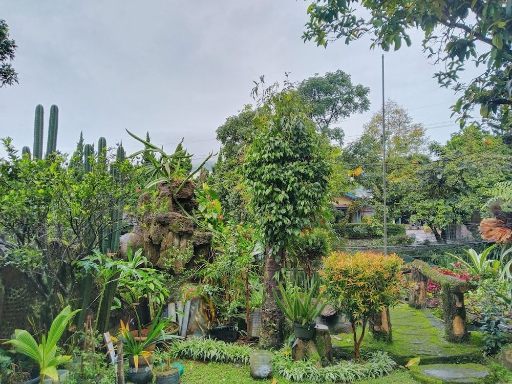 Homestay Pall Inn