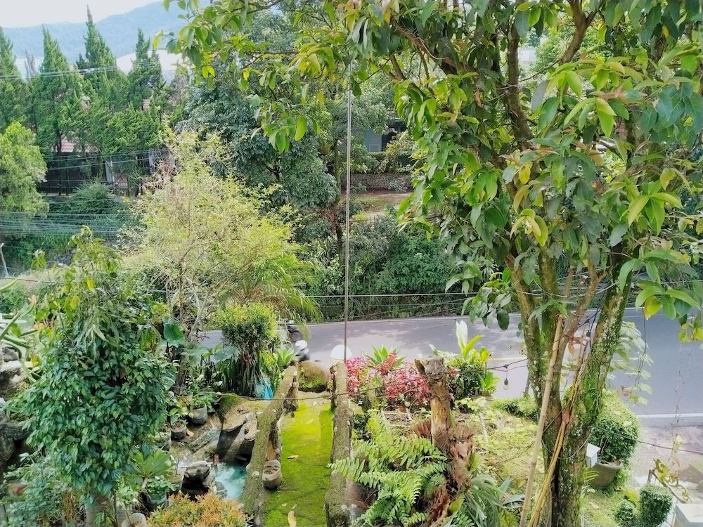 Homestay Pall Inn