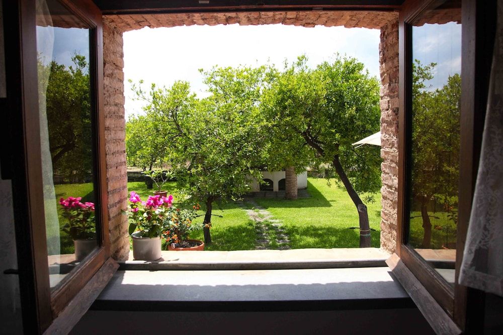 Land View from Property