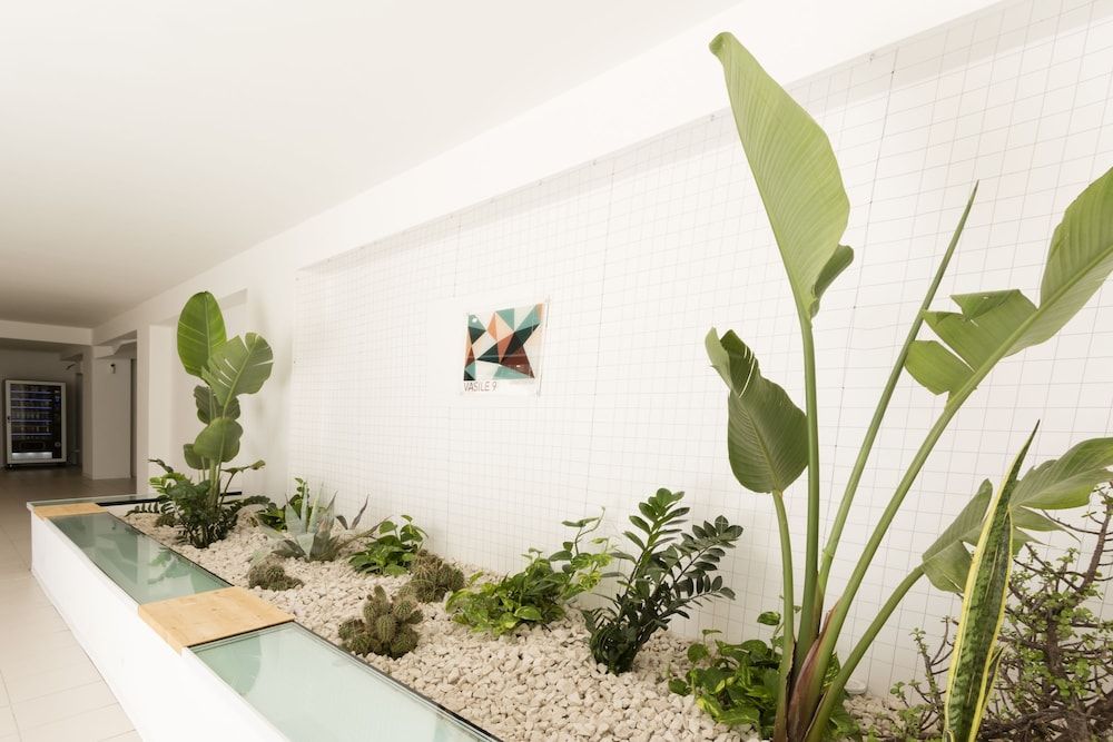 Visitsicilia Vasile 9 - 5 Apartment 5