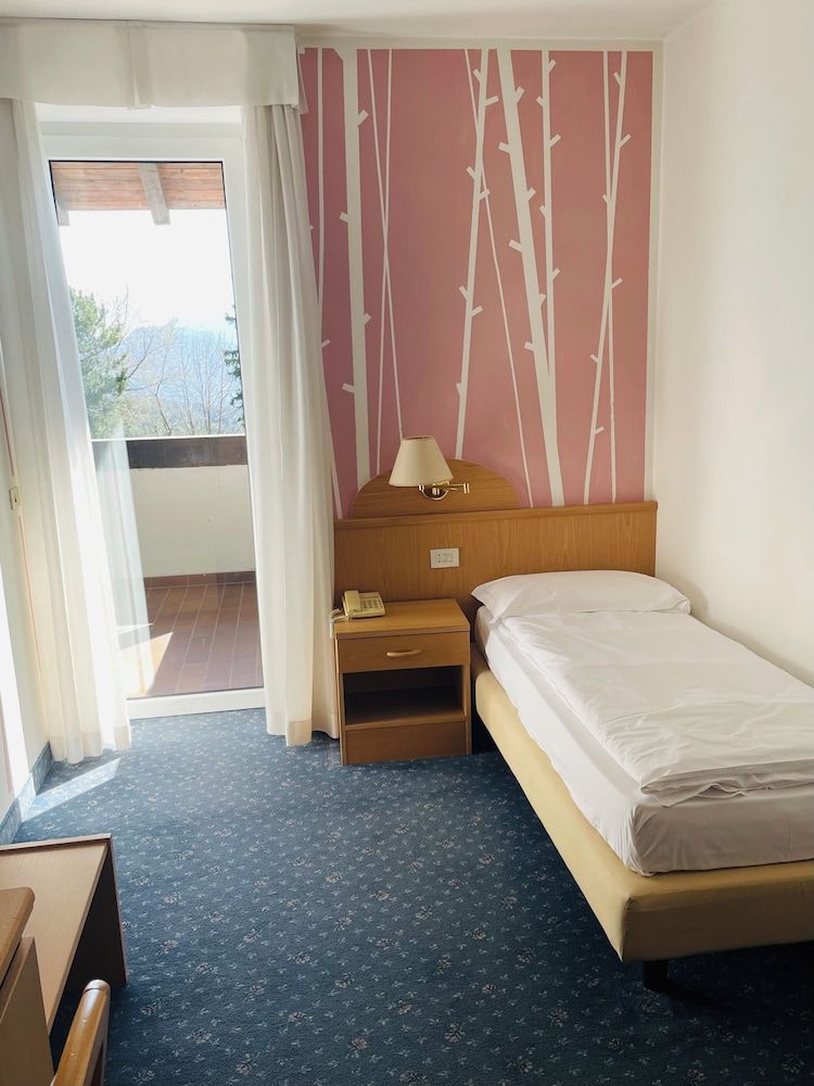 Superior Single Room, Mountain View
