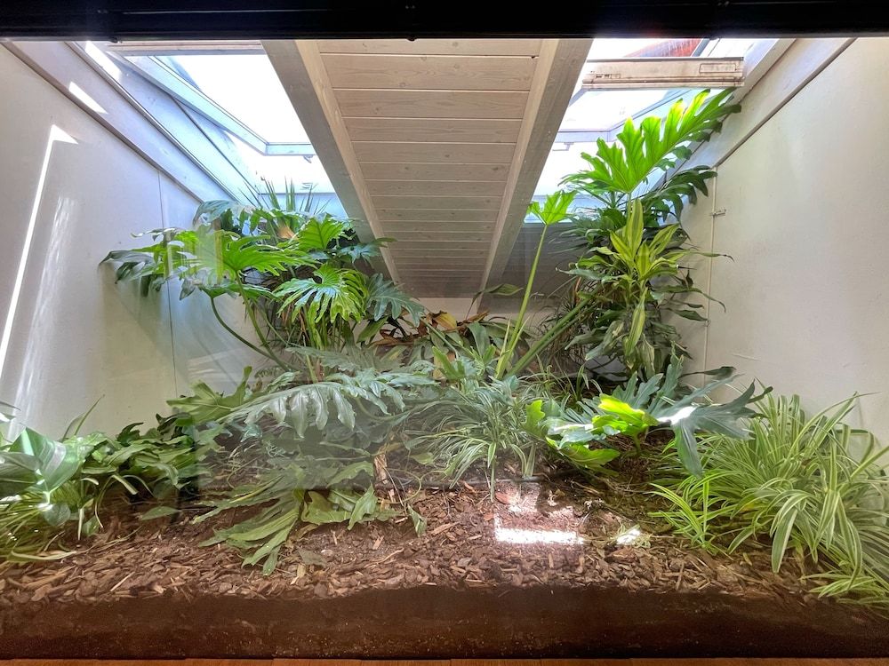 Via del Centro Exclusive Room 6