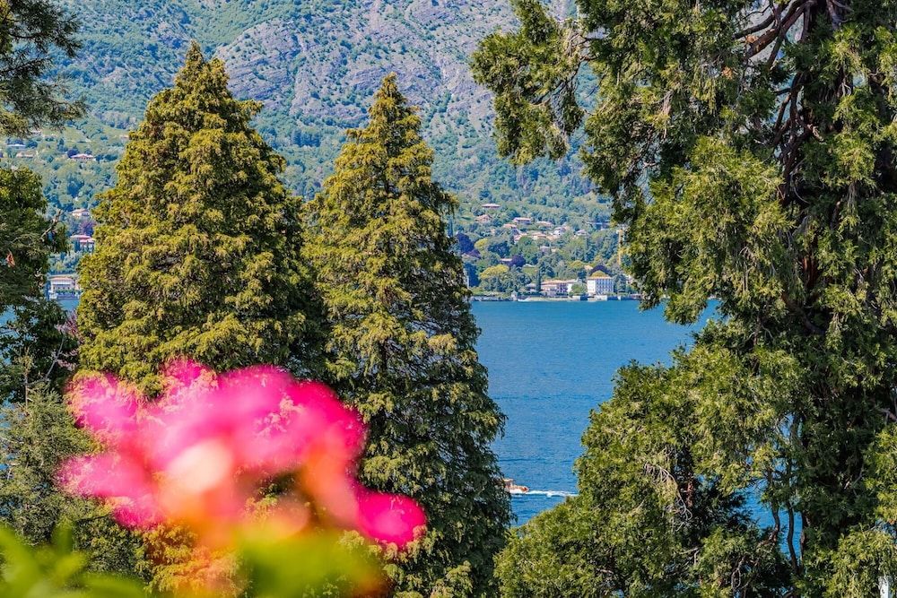 Gothic Apartments by Wonderful Italy - 1st-floor Studio 2 Apartment 10