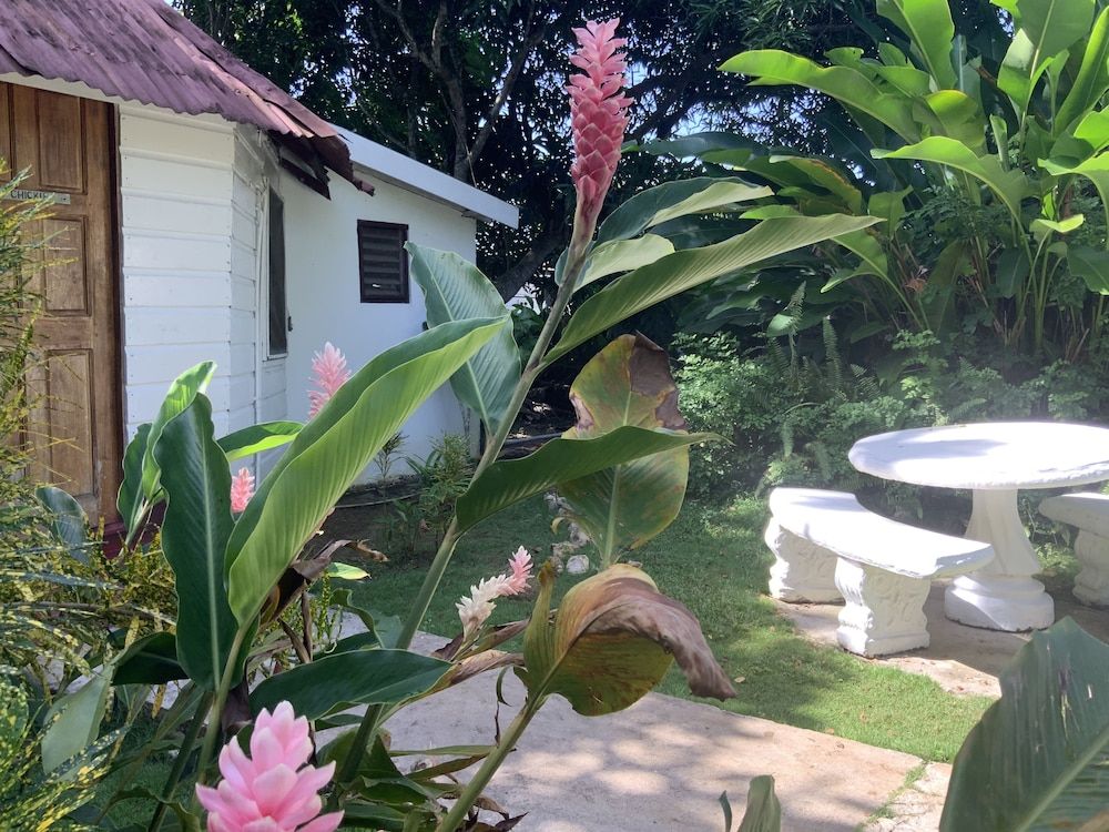 Yoga Dreams Negril Traditional Room 4