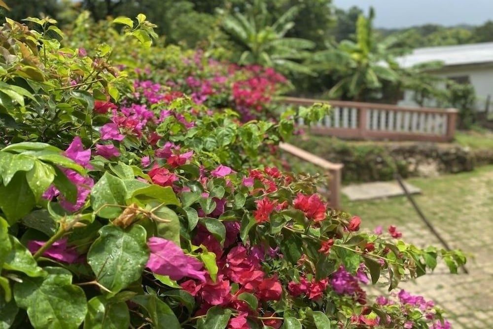 Yanceylargo Estate - Newly Renovated 3 Br Villa W Gorgeous Mountain Views 3 Bedroom Villa by RedAwning Villa, 3 Bedrooms 41