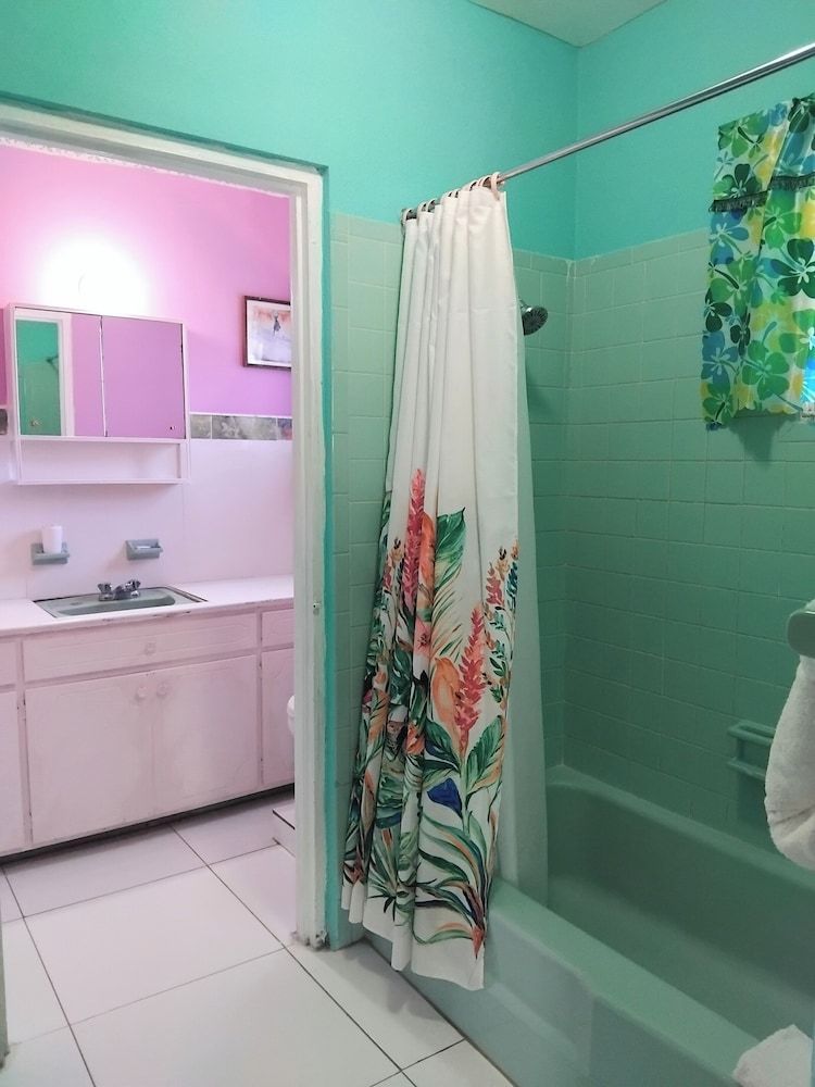 237 Bratton Ave Standard Room, 1 King Bed with Sofa bed, Balcony 11