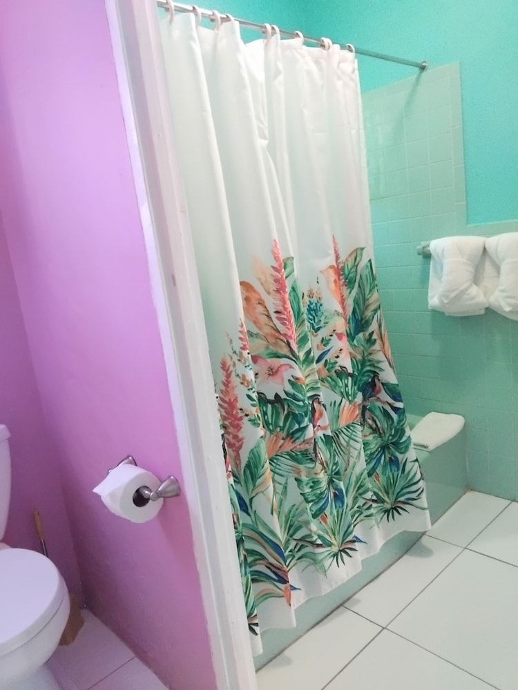 237 Bratton Ave Standard Room, 1 King Bed with Sofa bed, Balcony 10