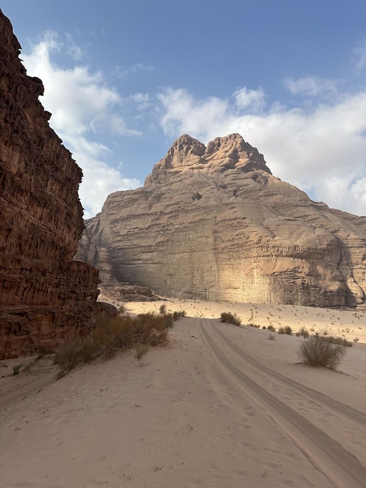 Rock Climbing Wall - Indoor