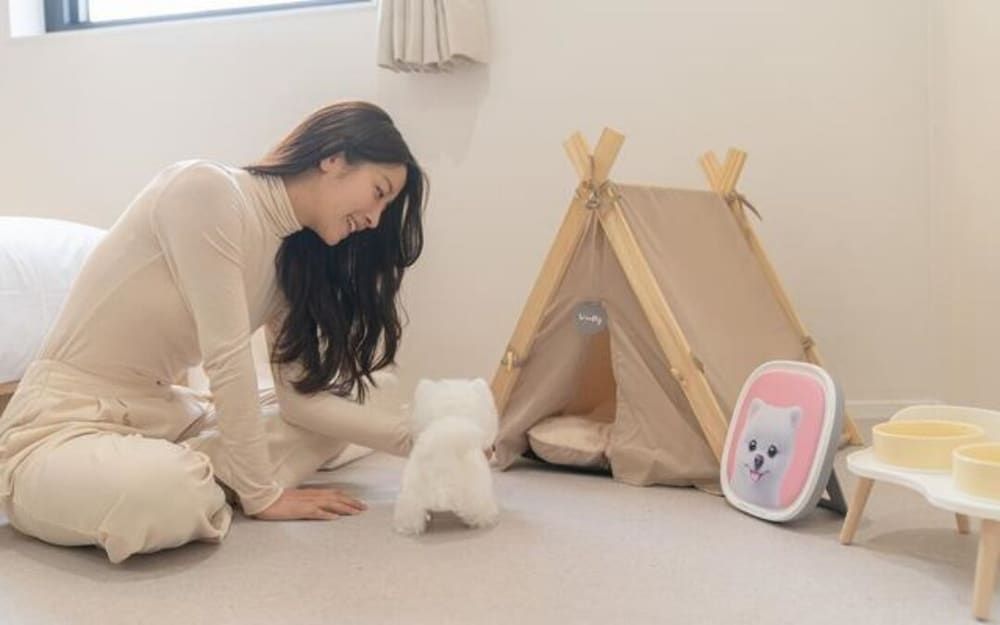 Aank Hotel Cheonan Station Ⅱ Pet Friendly 5