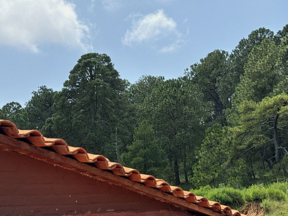 Cabañas Santa Fe Tapalpa Premier Cabin 32