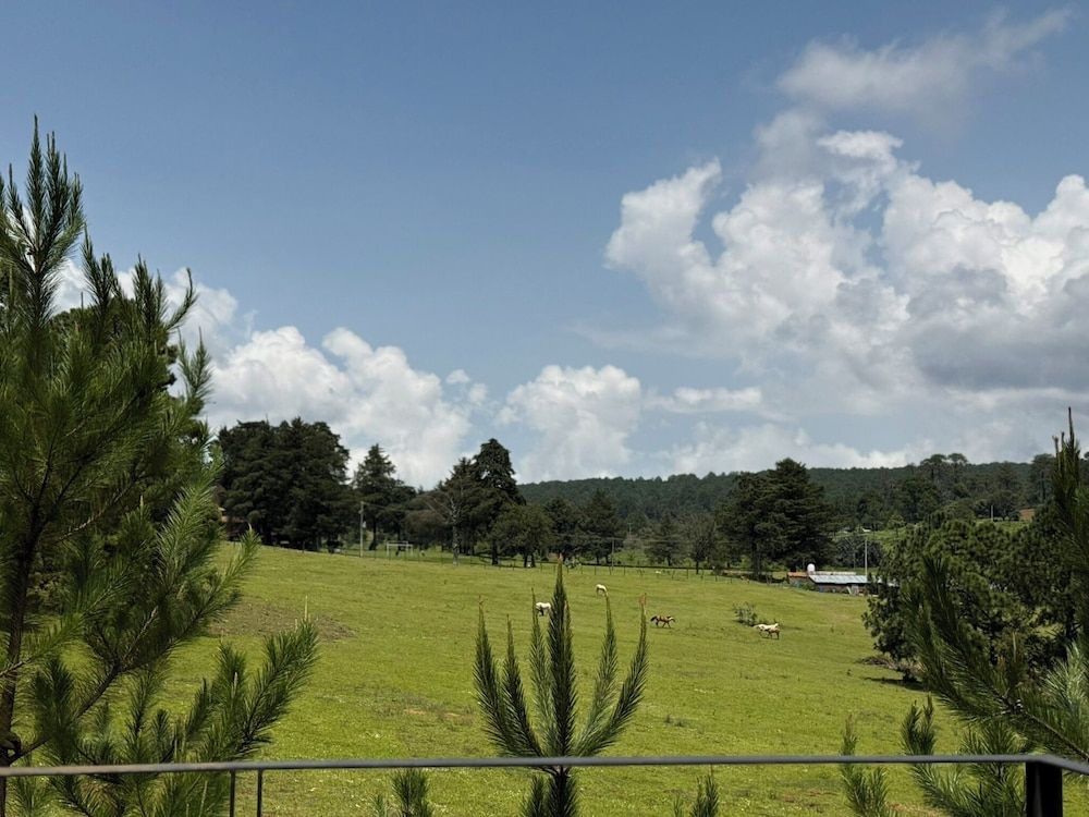 Cabañas Santa Fe Tapalpa Premier Cabin 35