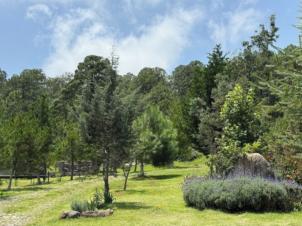 Cabañas Santa Fe Tapalpa Traditional Cabin 21