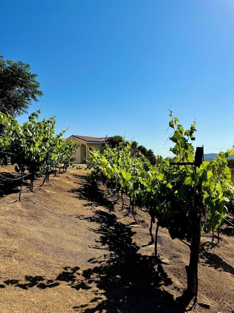 Cabañas Colibri Double Room, Hill View 15