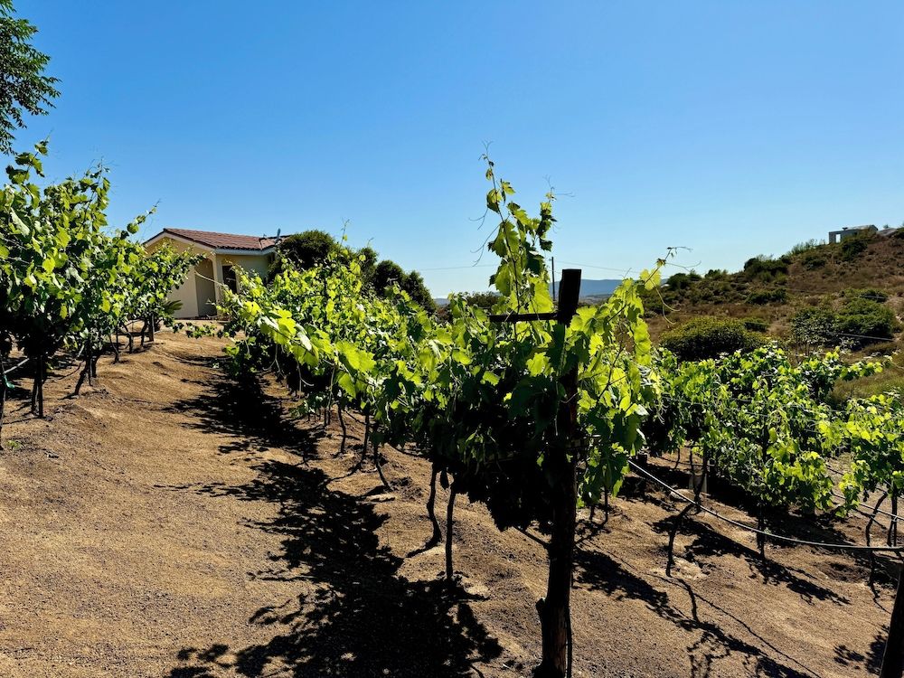 Cabañas Colibri Double Room, Hill View 14