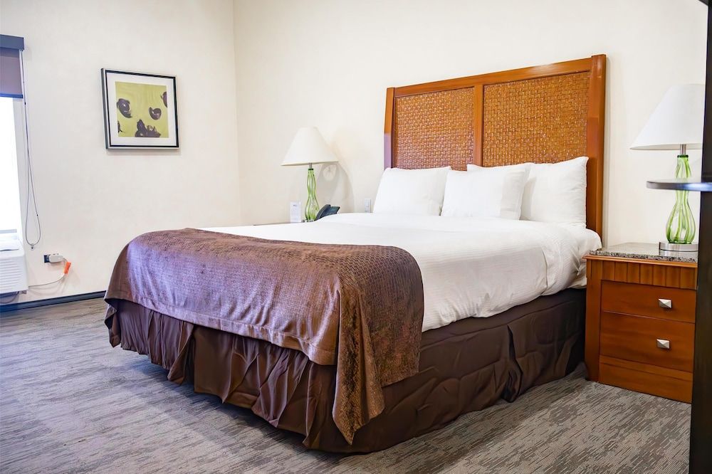 Standard Room, 1 King Bed, Non Smoking