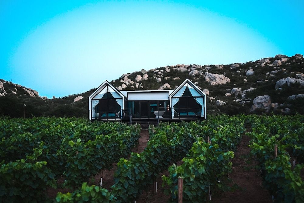 Deluxe Suite, 2 Bedrooms, Vineyard View