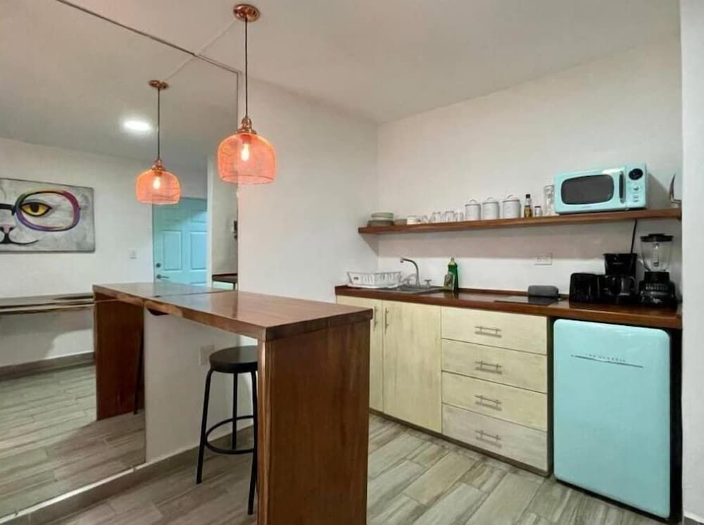 Miramar by Zamá Homes THE TROPICAL ONE 8