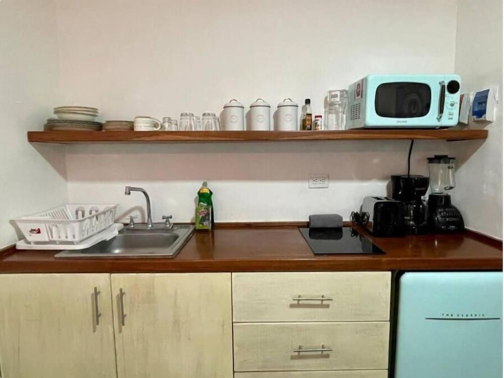 Miramar by Zamá Homes THE TROPICAL ONE 7