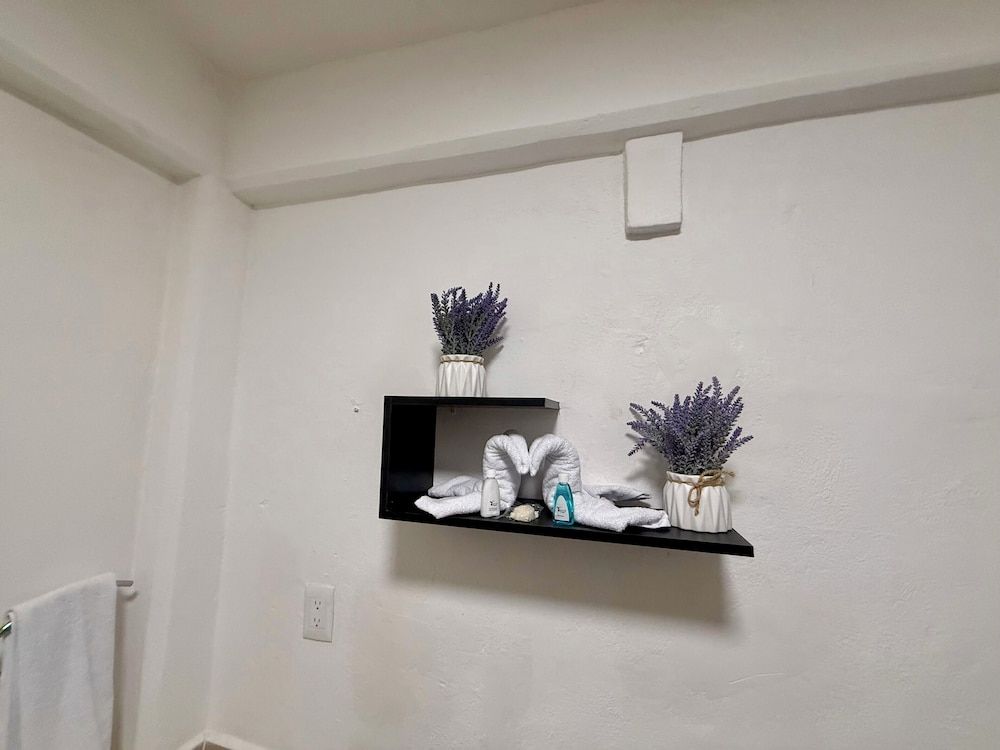 CASA TORTUGA 5Th. Ave Family Suite, Multiple Beds, Garden View 13