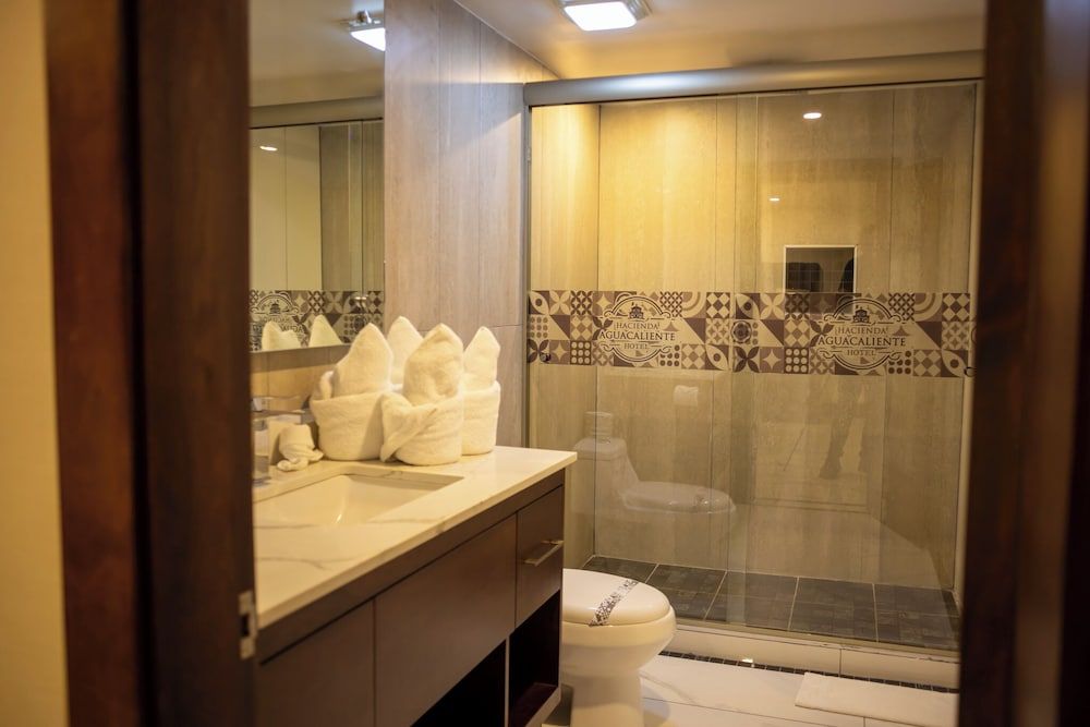 Hotel Hacienda Aguacaliente Luxury Room 5