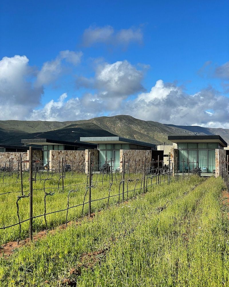 Casa Urbina Wine Resort Panoramic Room, 1 King Bed, Non Smoking 9