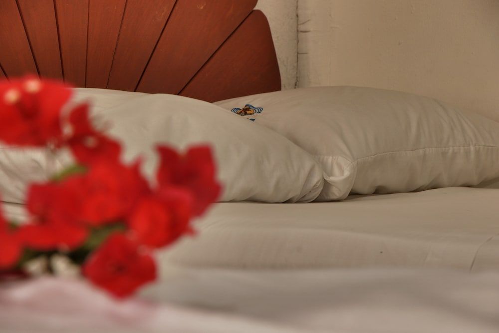 Hotel y Bungalows Acuario Standard Room, 2 Double Beds, Garden Area 3