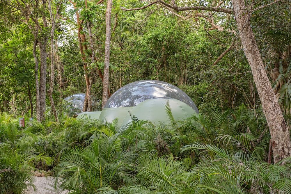 Oom Bubble Boutique Riviera Cancun - Adults Only Basic Suite, Private Pool, Garden View 13