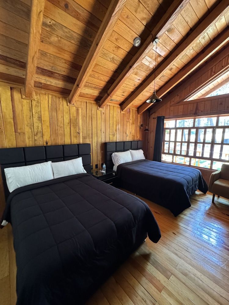 PINE TREE Hotel Boutique & Cabañas Family Studio Suite 10