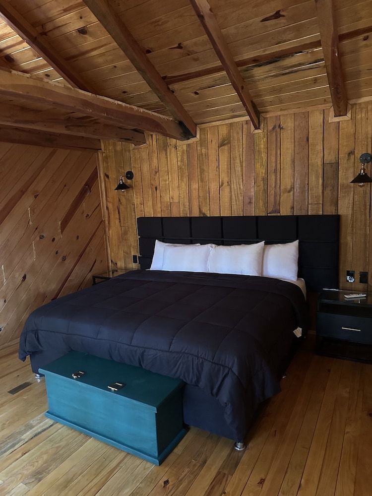 PINE TREE Hotel Boutique & Cabañas Junior Cabin 4