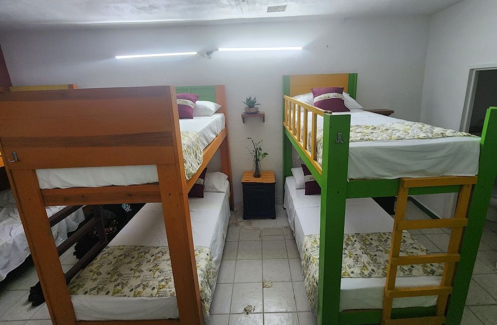 Basic Shared Dormitory
