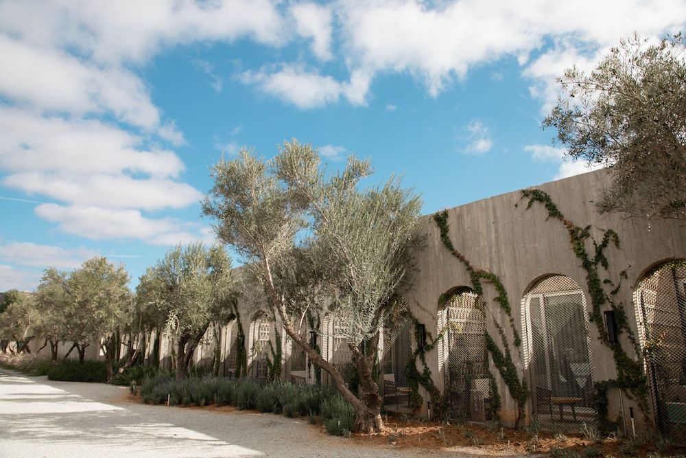 Hotel Andana Resort Deluxe Room, 1 King Bed, Resort View 6