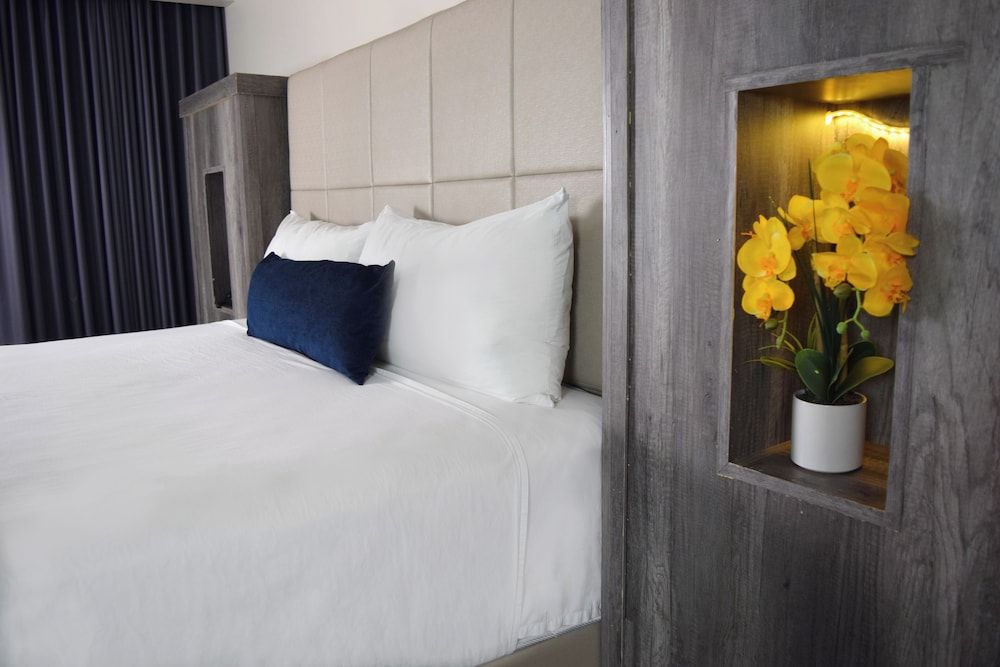 Hotel Sunio City Premier Single Room 2