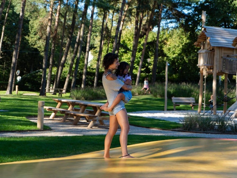 Chalet in Netherlands by Scenic Pond Chalet 11