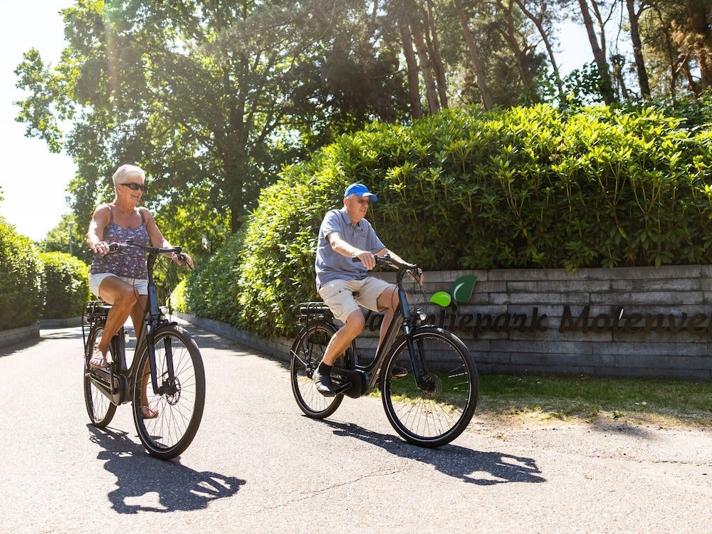 Chalet in Netherlands by Scenic Pond Chalet 14