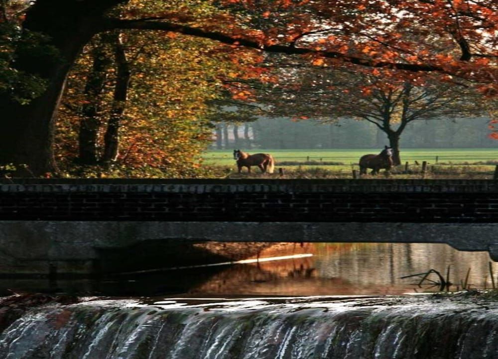 Chalet in Netherlands by Scenic Pond Chalet 34