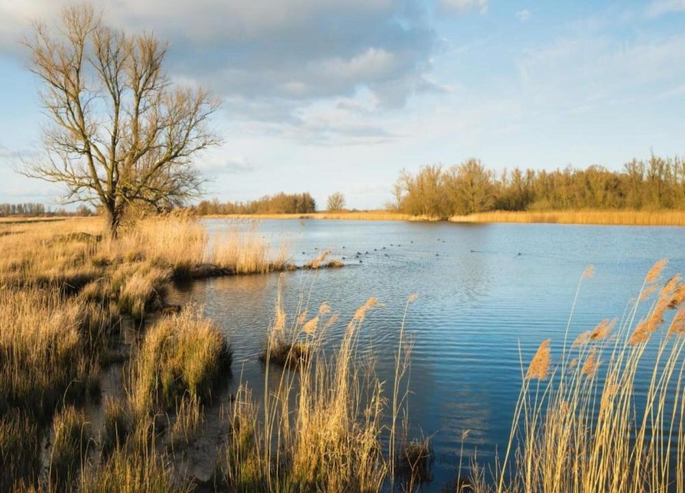 Chalet in Netherlands by Scenic Pond Chalet 35