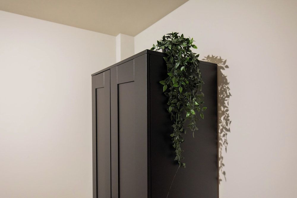 Alphabet Apartments Westersingel Apartment 28