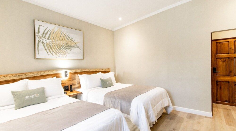 Los Abetos Boutique Hotel Comfort Double or Twin Room 4